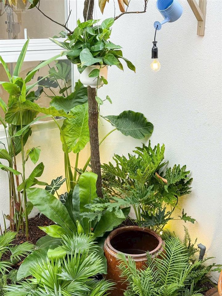 7.95tỷ thương lượng, ngôi nhà chữa lành giữa lòng bình thạnh. vị trí đắc địa.