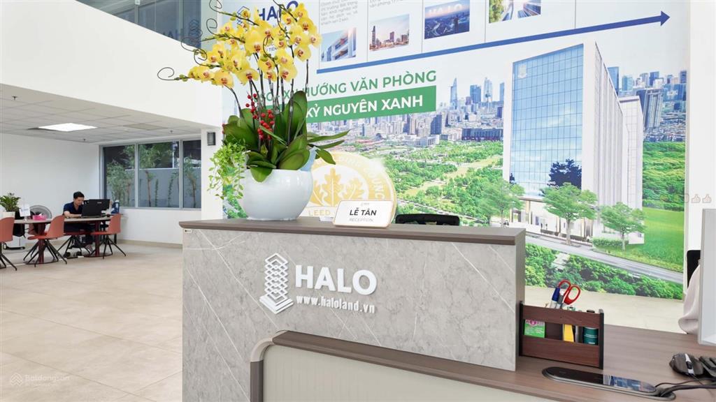 Ưu đãi hấp dẫn chủ đầu tư cho thuê vp hạng b + 163m2 tầng cao, tt quận 3 tòa nhà mới