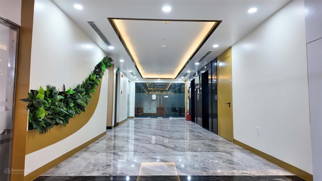 Chủ đầu tư cho thuê văn phòng 250m2 hạng b building 36 bùi thị xuân q1, giá cực tốt