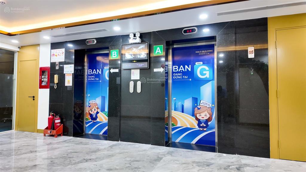 Chủ đầu tư cho thuê văn phòng 250m2 hạng b building 36 bùi thị xuân q1, giá cực tốt