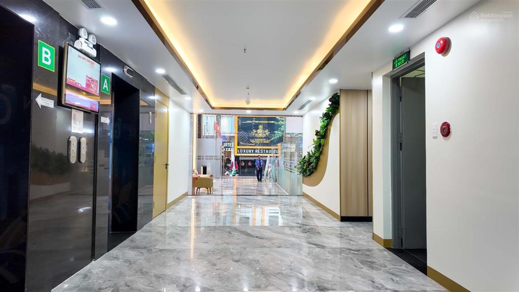 Chủ đầu tư cho thuê văn phòng 250m2 hạng b building 36 bùi thị xuân q1, giá cực tốt