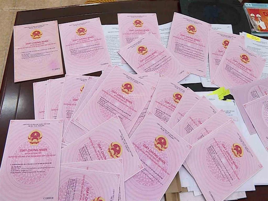 Đừng mua bắc sài gòn nếu chưa biết những điều sau