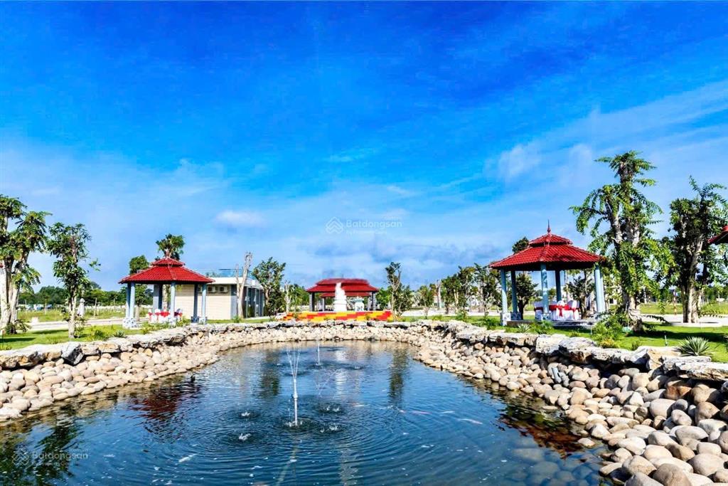 Đừng mua bắc sài gòn nếu chưa biết những điều sau