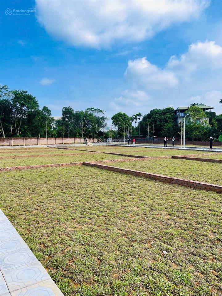 Bán đất hoà lạc giá tốt rẻ! 100m2 tại đường 21a, xã phú cát, quốc oai, hà nội, 20 triệu/m2