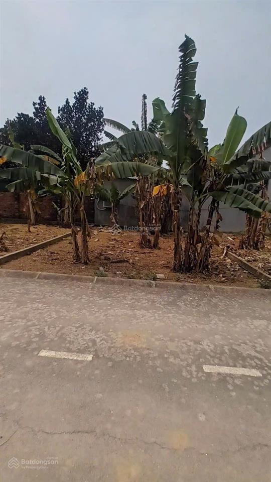 Bán đất tại láng hòa lạc, 20 triệu / m2, 100m2, pháp lý đầy đủ. xem sớm ạ