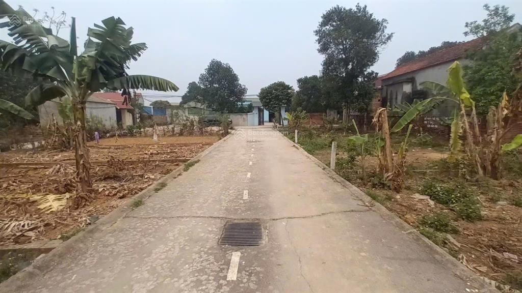 Bán đất tại phú cát, quốc oai, hà nội, 20 triệu / m2, 100 m2 giá ưu đãi.