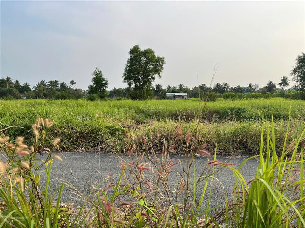 Chỉ 780 tr  100% thổ  shr xây dựng tự do kdc nam phong dragon, tl 826, tân trạch, cần đước