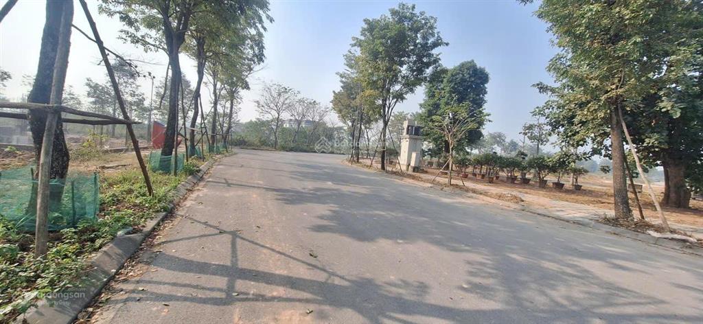 Cần bán liền kề 113m đường 27m nội khu dự án minh giang  đầm và giai đoạn 1 call 0988 157 ***