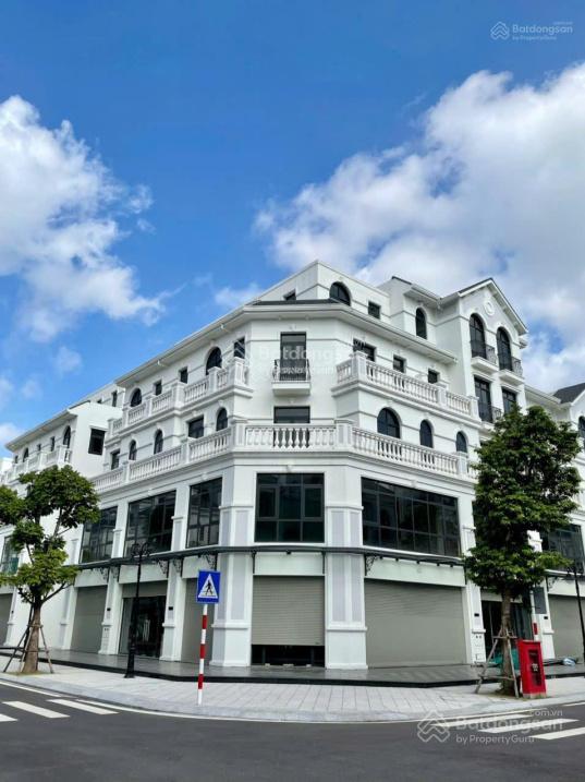 Quỹ căn cho thuê biệt thự shophouse tmdv vinhomes ocean park gia lâm