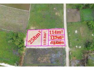 Bán đất nền hàng f0. 1ty300. dt 110m. full thổ cư