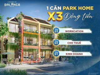 Bán bt siêu hot tại casamia balanca