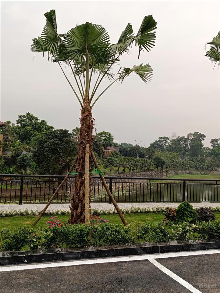 Chỉ hơn 800 triệu sở hữu ngay đất full thổ cư gần thị trấn xuân mai, xung quanh dân cư sầm uất