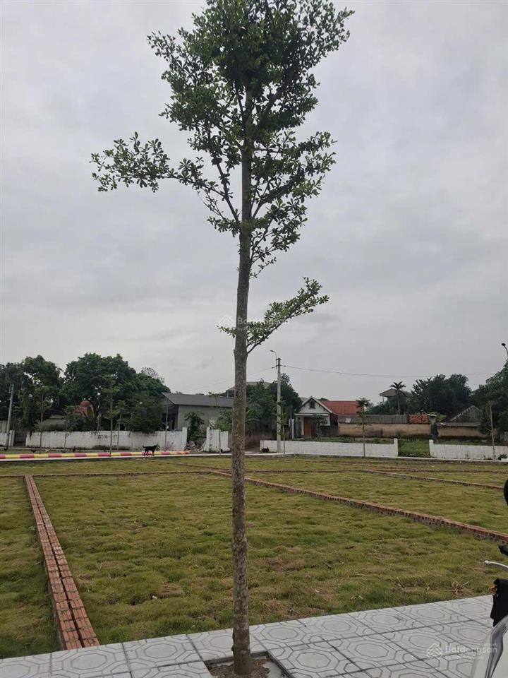 Cần bán lô đất 100m2, giá 2,8 tỷ  trung tâm công nghệ cao hòa lạc, giá rẻ nhất thị trường 2026