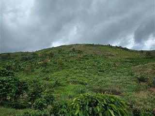 150 triệu/ sào  lộc thành  có sổ đầy đủ ~ 200m mặt tiền suối, sổ hiển thị đường