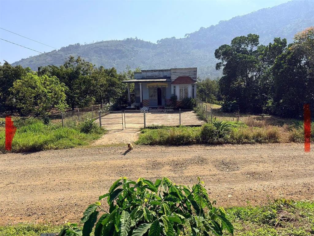 Bán gần 9 sào sầu riêng, cafe, lộc thành, bảo lâm  có nhà, đường nhựa xe hơi tận nơi