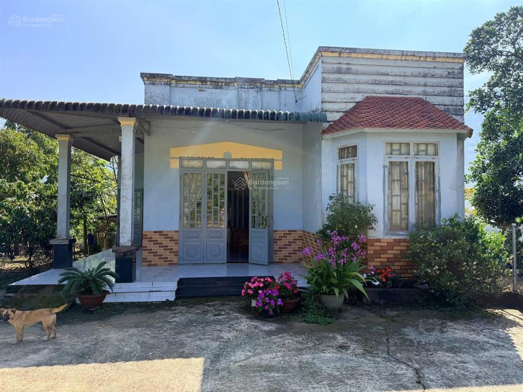 Bán gần 9 sào sầu riêng, cafe, lộc thành, bảo lâm  có nhà, đường nhựa xe hơi tận nơi