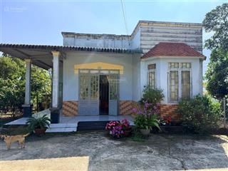 Bán gần 9 sào sầu riêng, cafe, lộc thành, bảo lâm  có nhà, đường nhựa xe hơi tận nơi