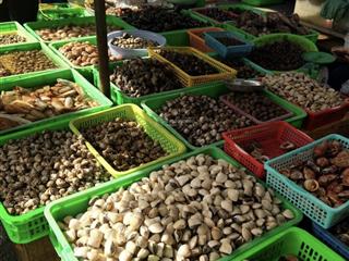 Bán nhà lẻ,sh riêng,kế chợ phú xuân,nhà bè,dt6x10.tk 2pn 1wc,giá 3ty539 . 0965 004 *** mr huy