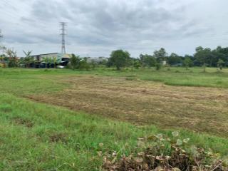 Bán đất trồng cây hàng năm khu vực nhuận đức, củ chi, tp hcm