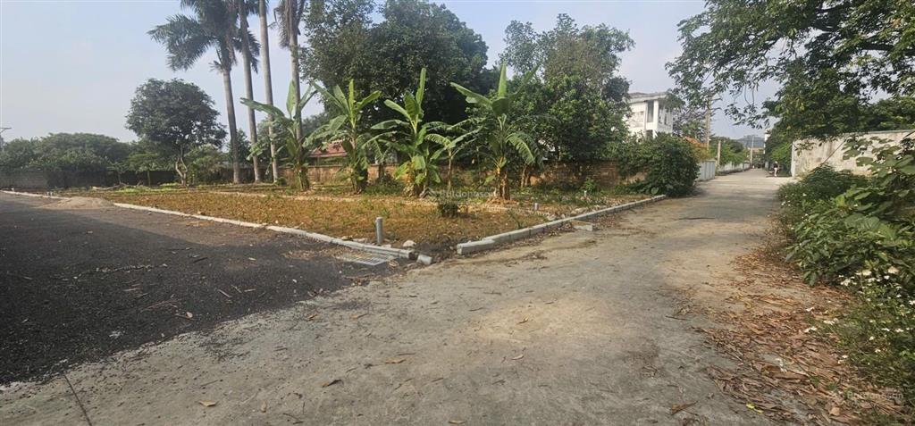 78m  nở hậu  sẵn sổ  chỉ 1.x tỷ (x  tiểu học)