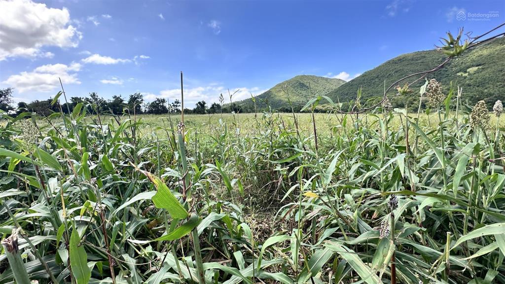 Đất vườn rộng quy hoạch thổ cư