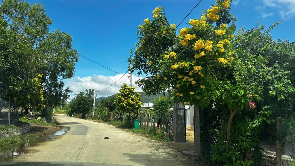 Đất vườn rộng quy hoạch thổ cư