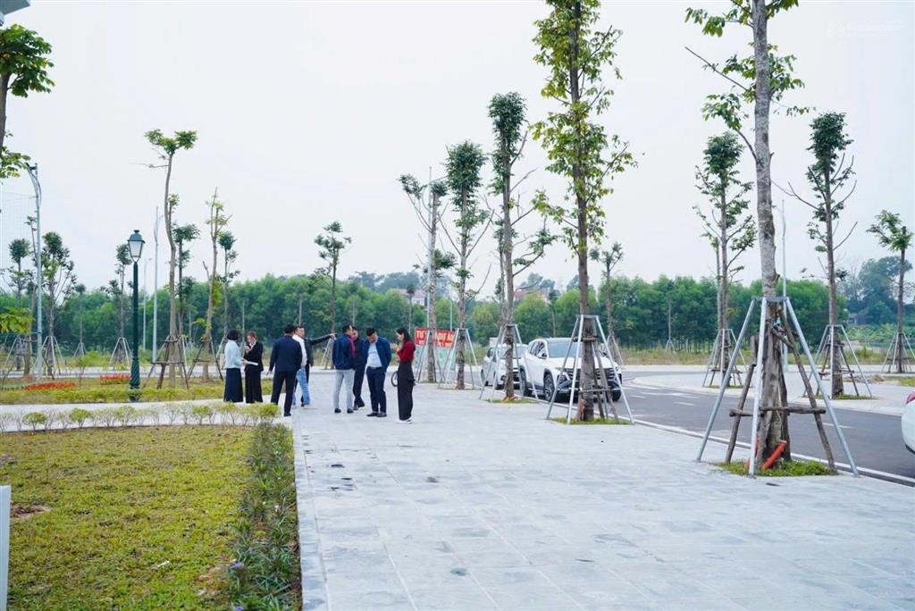 Mở lộc đầu năm cùng lì xì phú quý an cư vượng tài tại hawee parkland cao thượng