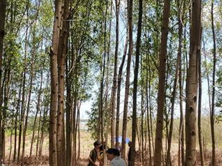 Đất nền 1000m2 tại xã phú ngọc, định quán, đồng nai chỉ với giá cực chất 590 triệu