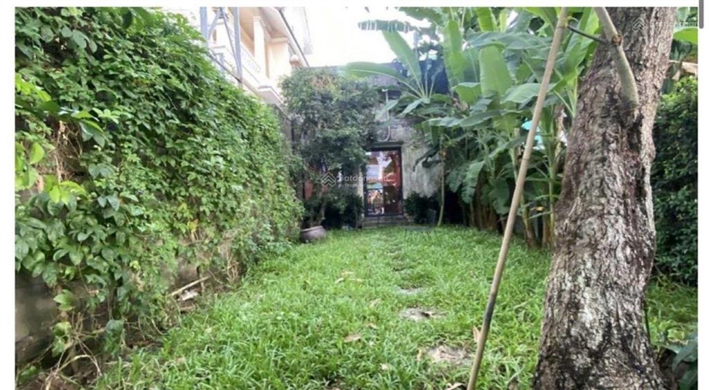 Mặt tiền kinh doanh quốc lộ 50  254m2  giá 14,6 tỷ tl