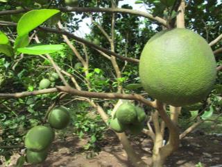 Khu đất vô cùng đáng để đầu từ tại trừ văn thố