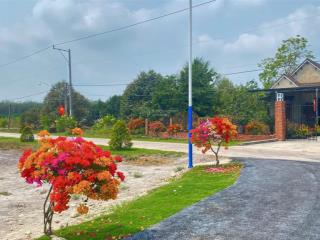 Bán đất chơn thành 5x43m thổ cư 50m2 sẵn sổ gần khu du lịch hoa việt giá cực tốt