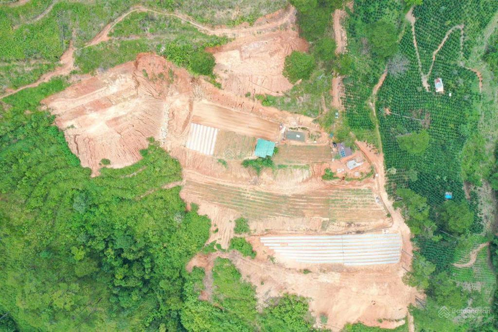 Bán đất tại xã đạ sar, lạc dương, lâm đồng, 300 triệu/1000m2 đẹp, nhiều tiện ích