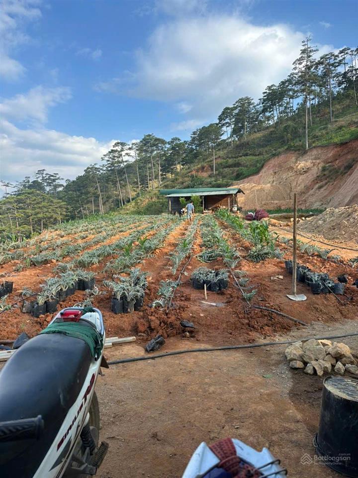 Bán đất tại xã đạ sar, lạc dương, lâm đồng, 300 triệu/1000m2 đẹp, nhiều tiện ích