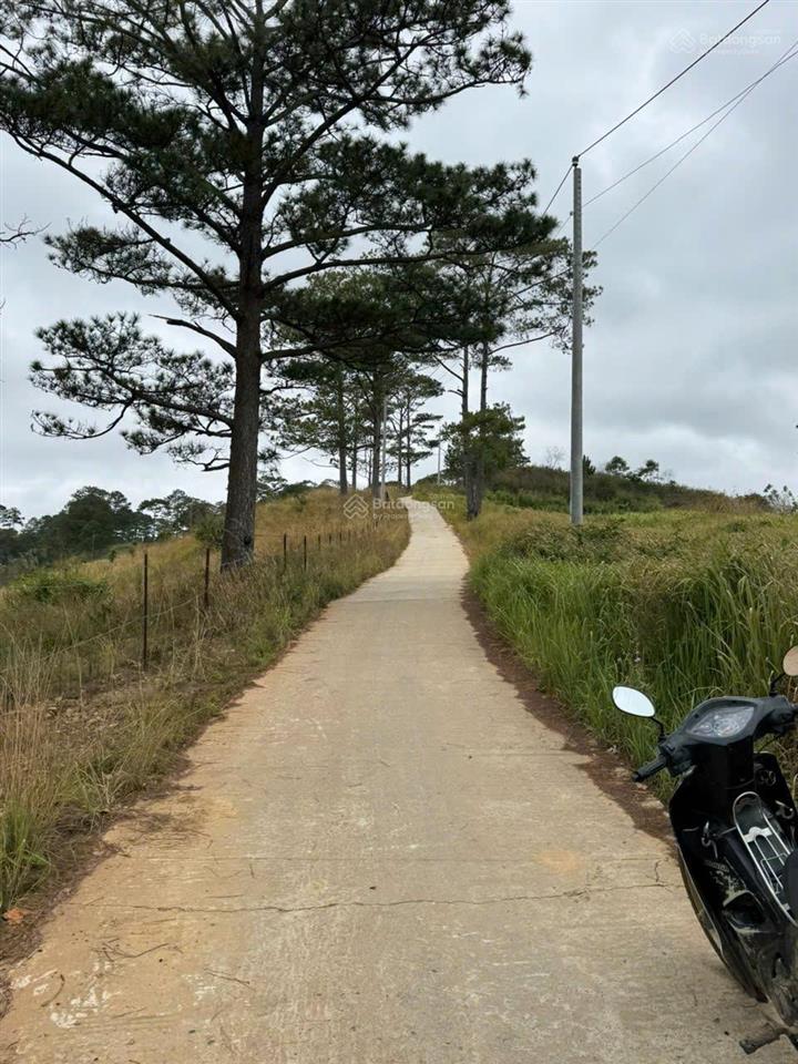 Bán đất tại xã đạ sar, lạc dương, lâm đồng, 300 triệu/1000m2 đẹp, nhiều tiện ích