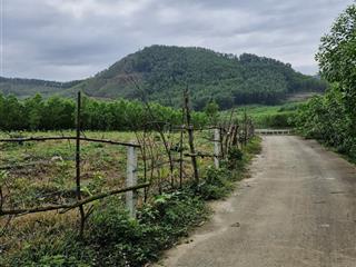 Làm việc trực tiếp giá tốt! bán đất thôn xuân phú, xã hòa sơn, huyện hòa vang