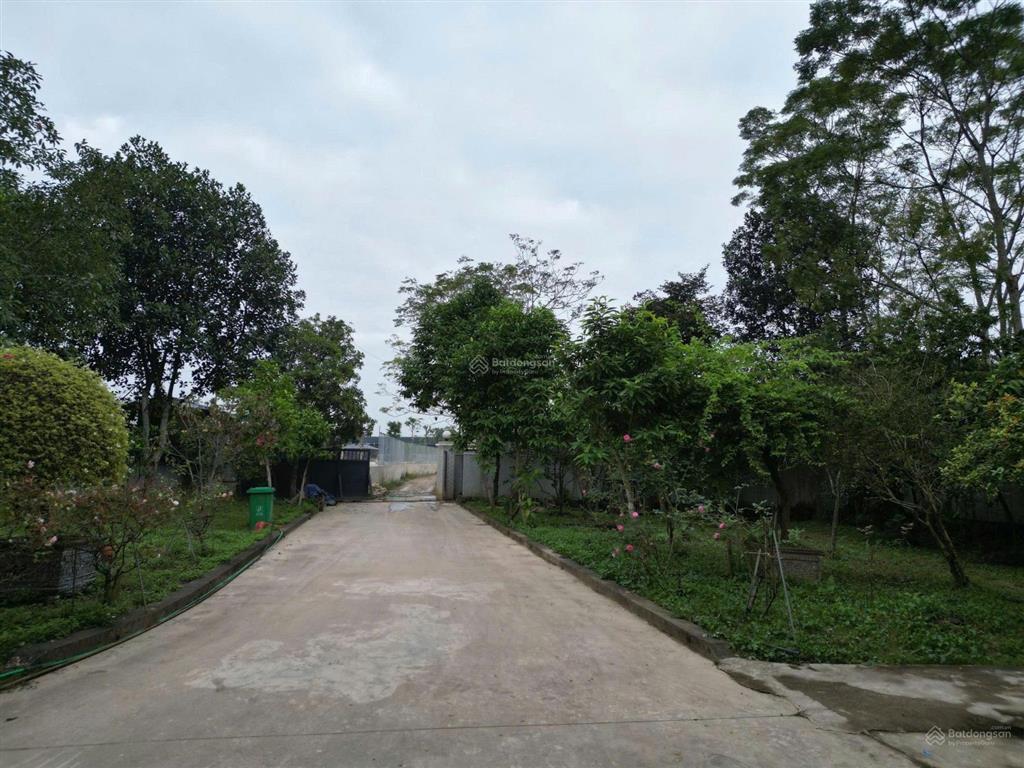 Cần chuyển nhượng để ra chỗ mới