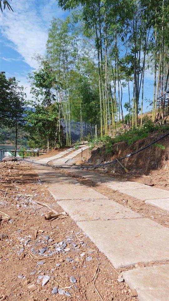 Sang nhượng 72ha đất quy hoạch tmdv tại vịnh ngòi hoa đã có giấy phép glampinga