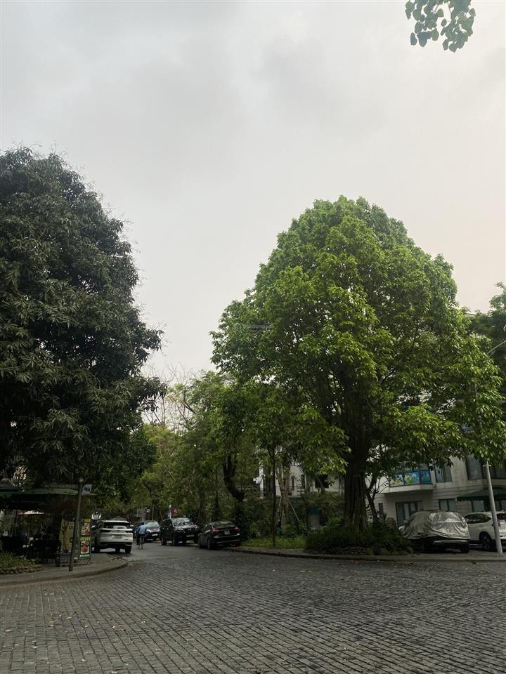 Bán nhà mặt phố tại khu đô thị ecopark, 20 tỷ, 100m2, hàng hiếm view đẹp