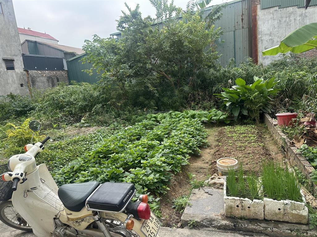 Bến trung 53m2 ngõ nông, ô tô vào đất giá chỉ nhỉnh 3 tỷ!