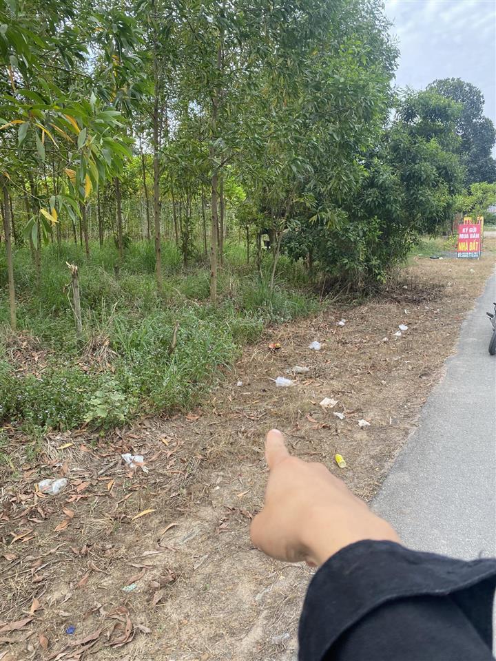 Mặt tiền buôn bán trần vĩnh lộc vị trí tiềm năng để buôn bán đường xã rộng dân cư đông đúc