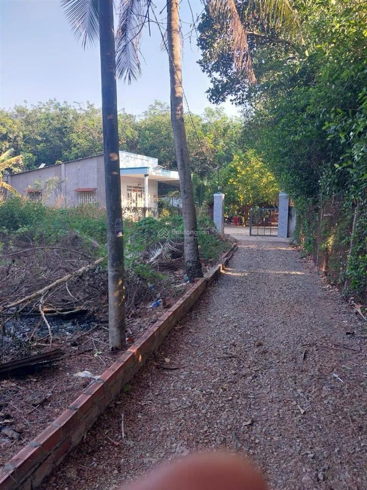Cần bán gấp đất hòa long diện diện tích 9*18