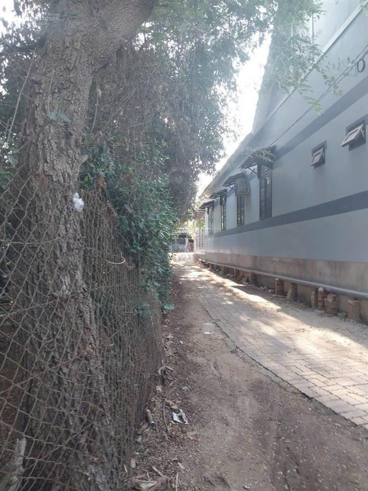 Cần bán gấp đất hòa long diện diện tích 9*18