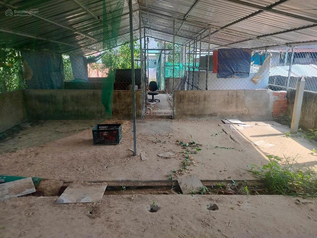 Nhà ở gắn liền với đất, thổ cư 84m2. diện tích trên sổ 397m2, ngoài ra có gần 100m2 giấy tay