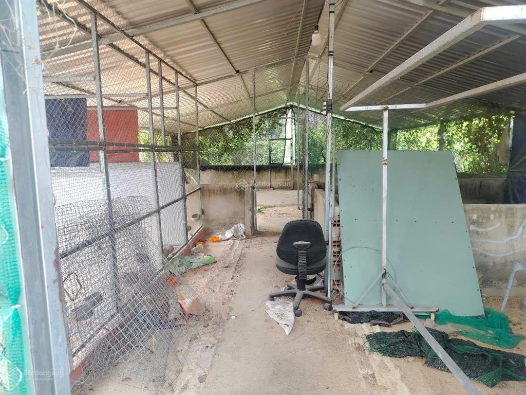 Nhà ở gắn liền với đất, thổ cư 84m2. diện tích trên sổ 397m2, ngoài ra có gần 100m2 giấy tay
