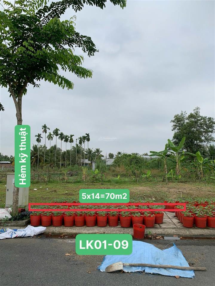 Đất nền giá rẻ cho người thu nhập trung bình