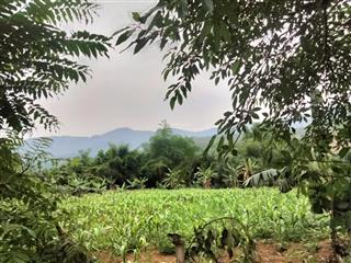 Bán đất 1789m2,có 200m đất ở, 9 triệu / m2 tại áp phan, phú mãn, quốc oai, hà nội