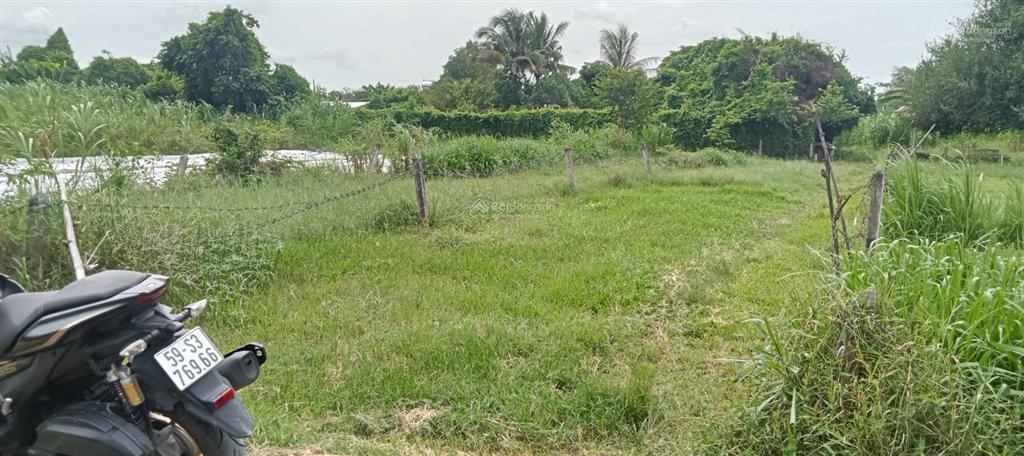 Bán đất tại đường pháo binh, xã thanh phước, gò dầu, tây ninh,