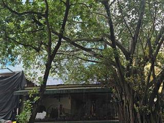 Cho thuê nhà phố giảng võ mặt tiền 12m x 140m2 x 1 tầng alo 0333 888 ***