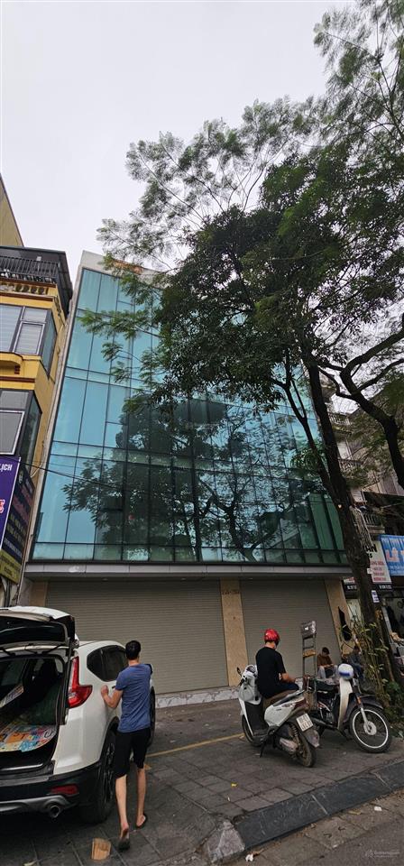 Cho thuê tòa nhà phố triệu việt vương, hai bà trưng mặt tiền 11m x 250m2 x 10 tầng alo 0333 888 ***