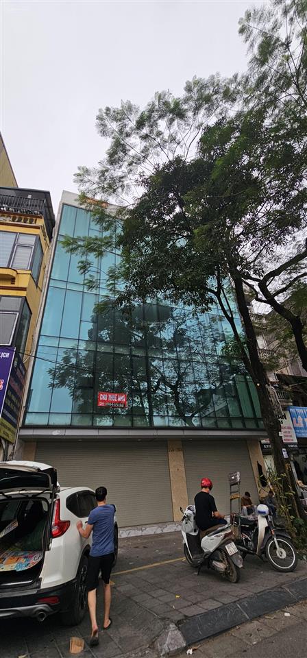 Cho thuê nhà mặt phố trần quang khải mặt tiền 8m x 100m2 x 3 tầng alo 0333 888 ***